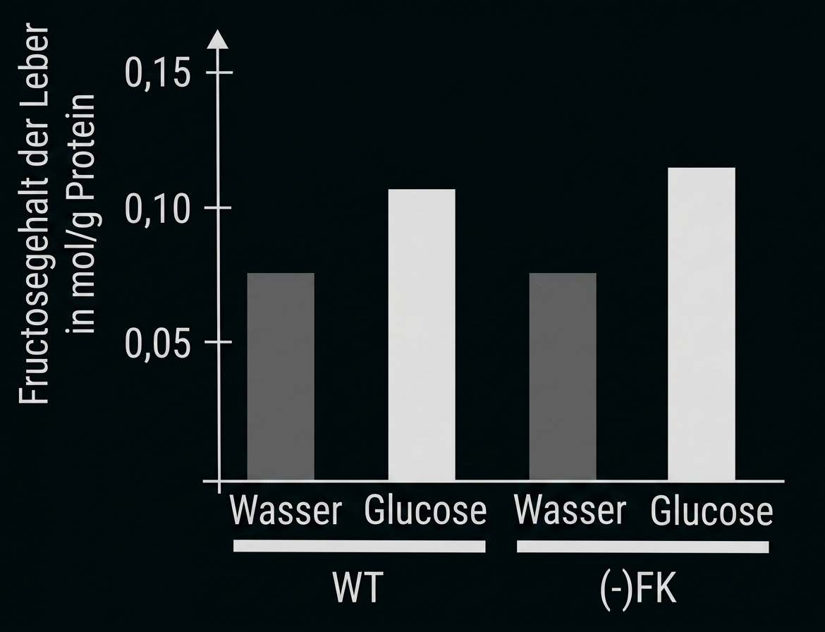 Balkendiagramm: Lebergehalt an Fructose bei WT und (-)FK nach Wasser vs. Glucose, Glucose höher.